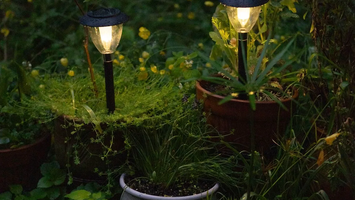 Éclairage de jardin parmi les plantes la nuit